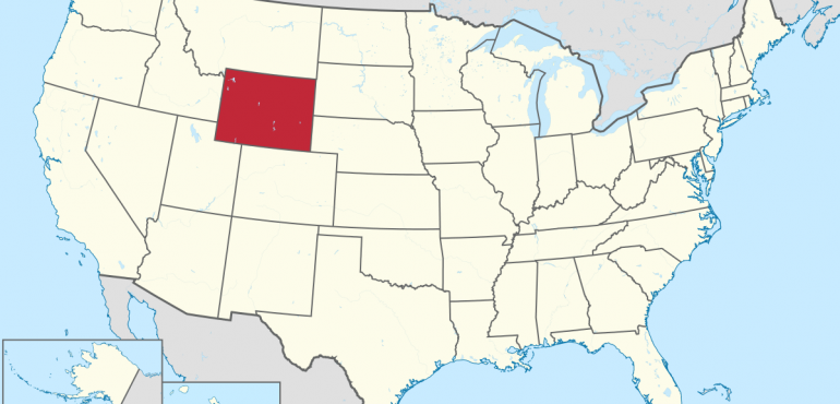 EEUU- Nueva ley de gestación subrogada en Wyoming. Pros y Contra.
